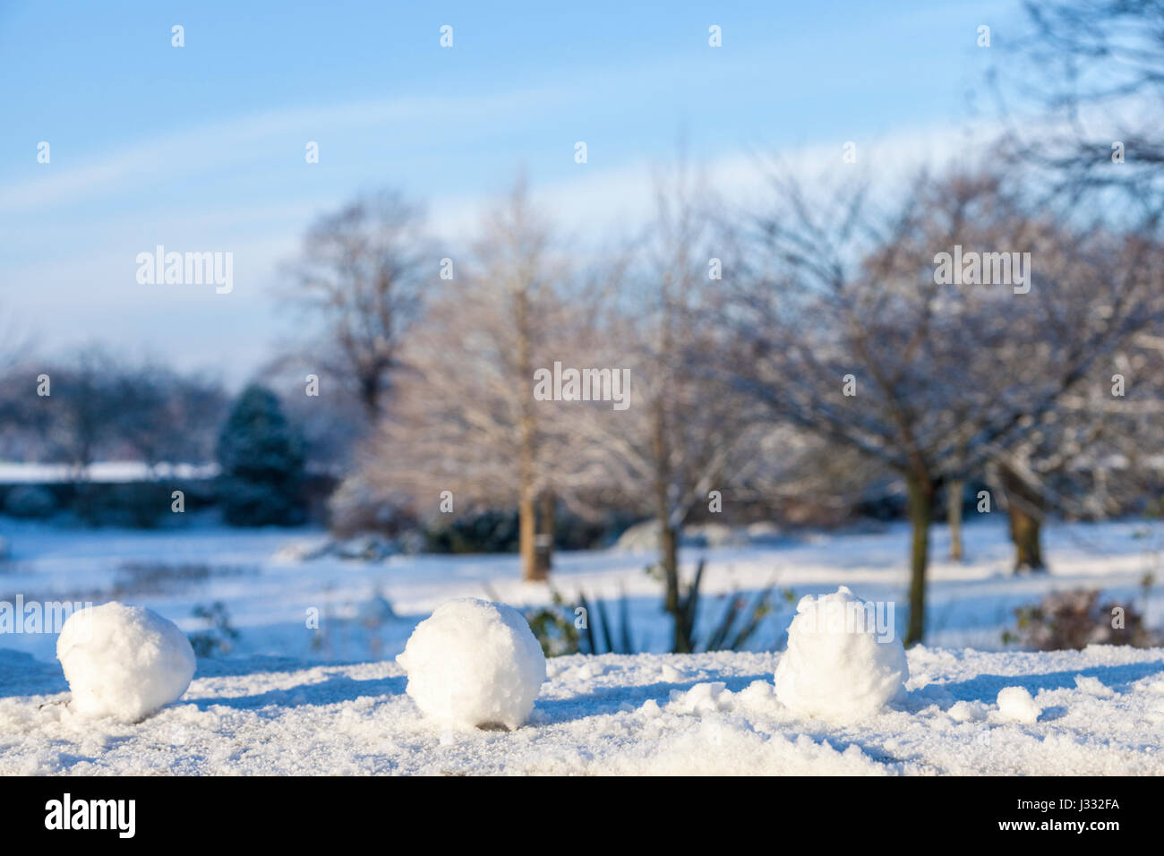 Snowballs lined up on a wall, England, UK Stock Photo