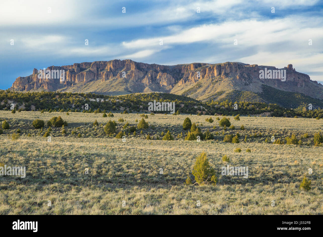 flat top mountain in dixie national forest near panguitch, utah Stock
