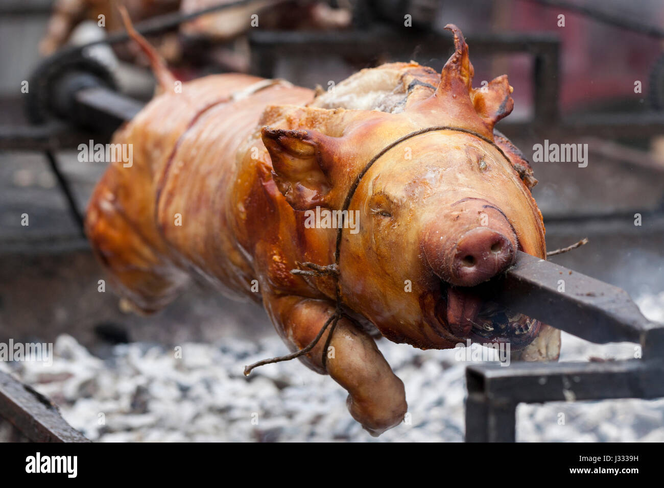 Traditionally suckling pig on a rotating spit with fire and smoke.Very ...