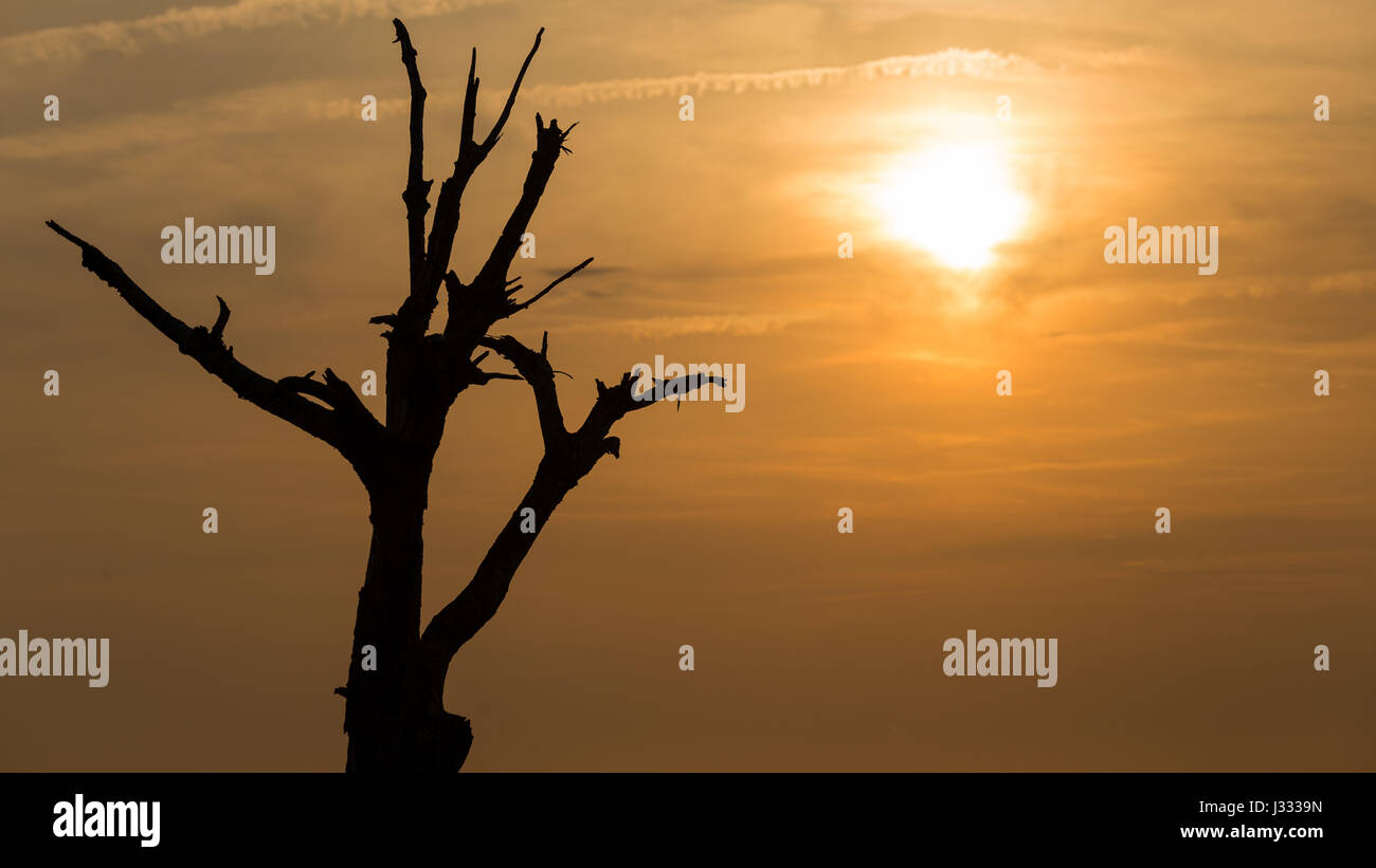 Stark Contrast Stock Photos & Stark Contrast Stock Images Alamy
