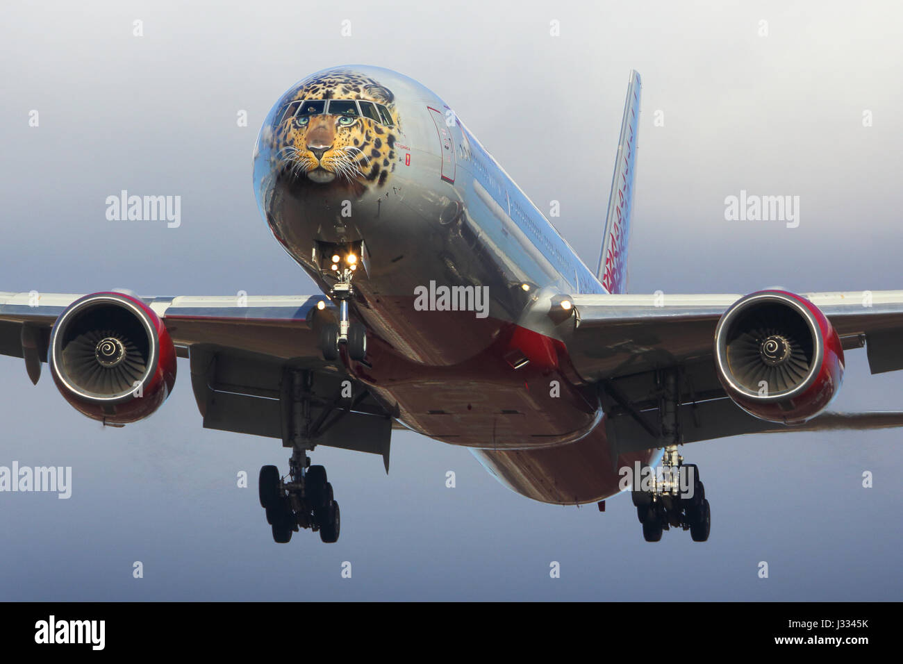 VNUKOVO, MOSCOW REGION, RUSSIA - MARCH 23, 2017: Boeing 777-300 EI-UNP of Rossiya airlines in Special Far Eastern Leopard color scheme landing at Vnuk Stock Photo