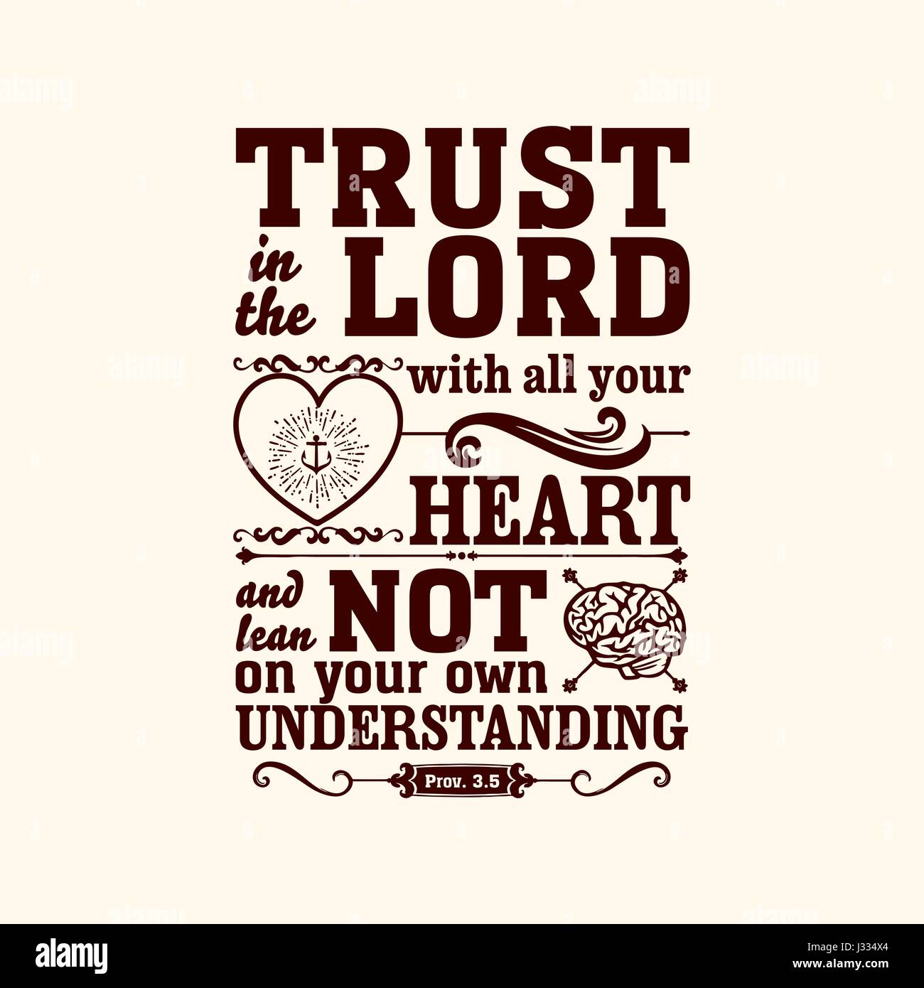 My Image 16