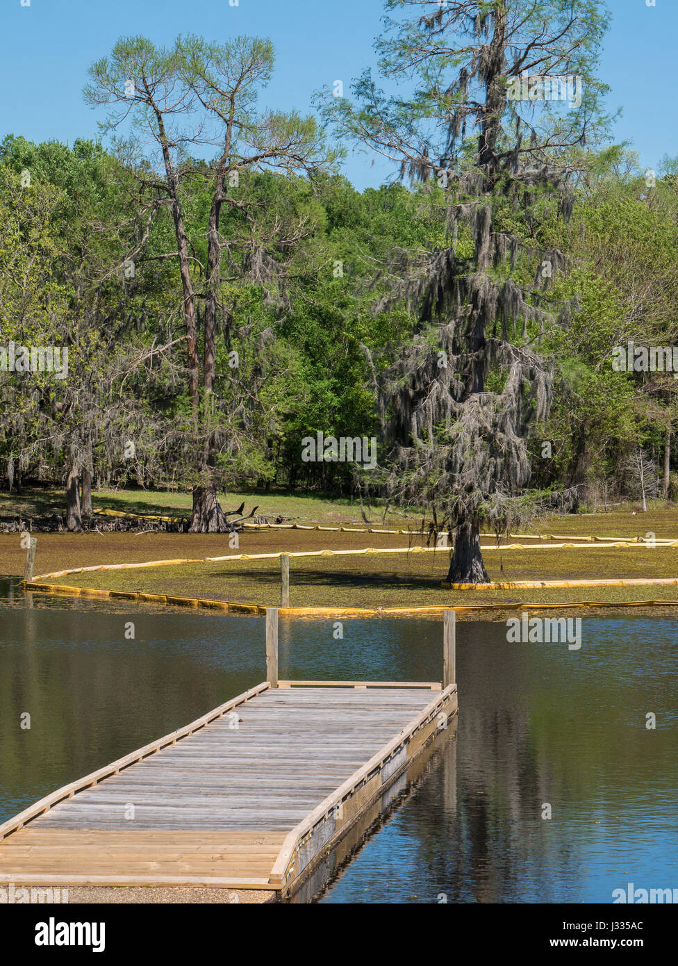 Dock near boat ramp, Lake Bistineau State Park, Doyline, Louisiana
