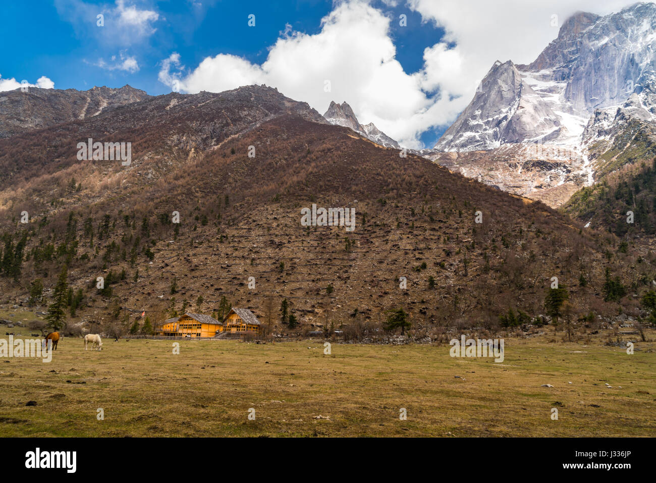 View of snow mountain at Siguniang National Park in Sichuan, China Stock Photo
