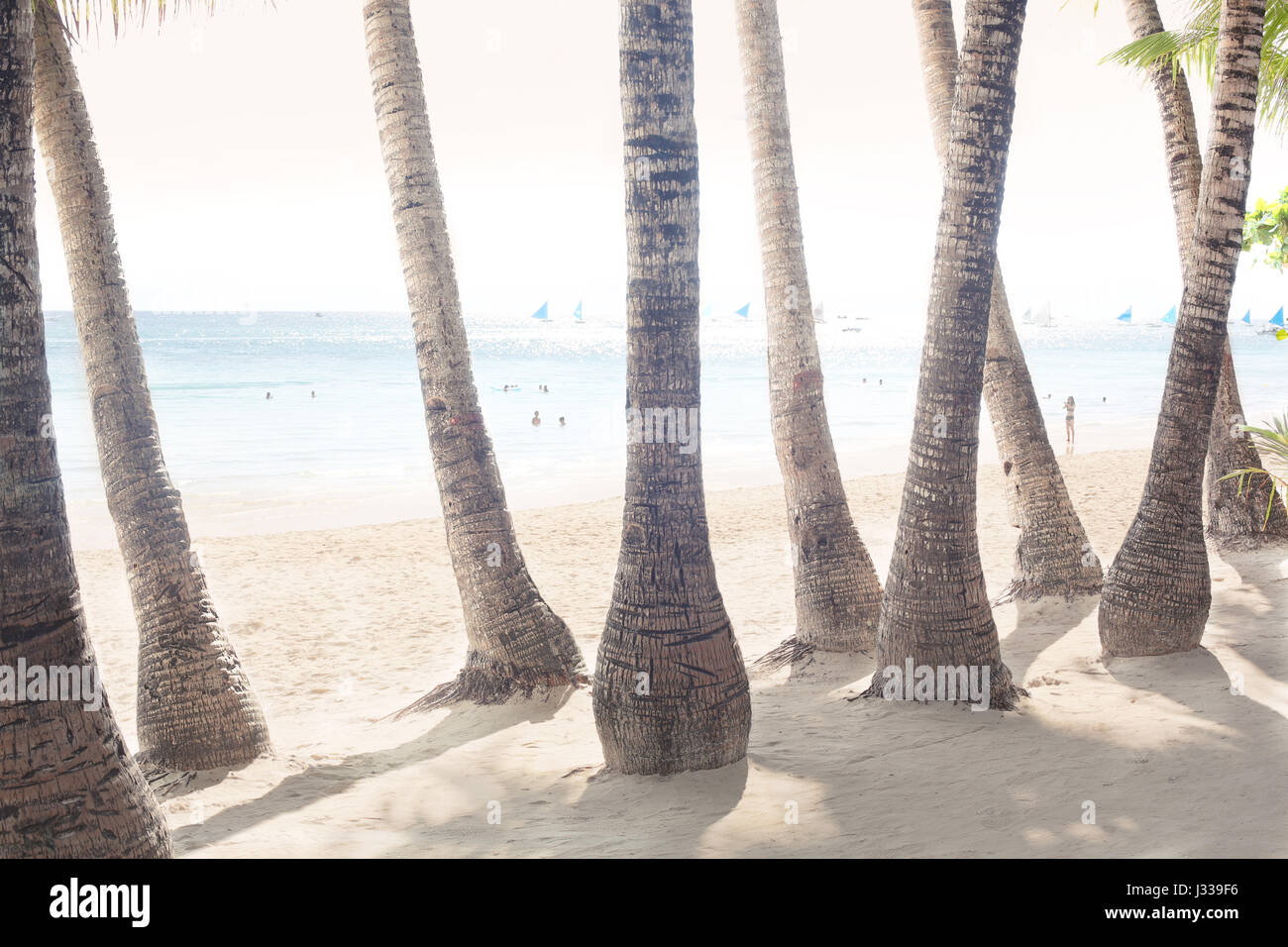 White Beach with Palm trees, Boracay, Philippines, Asia Stock Photo