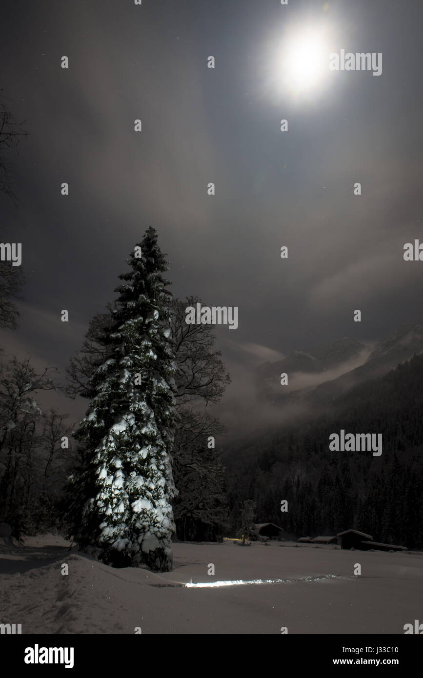 Winter landscape, full moon and illuminated trees in Stillach Valley, Oberallgaeu  Oberstdorf, Germany 2014 Stock Photo
