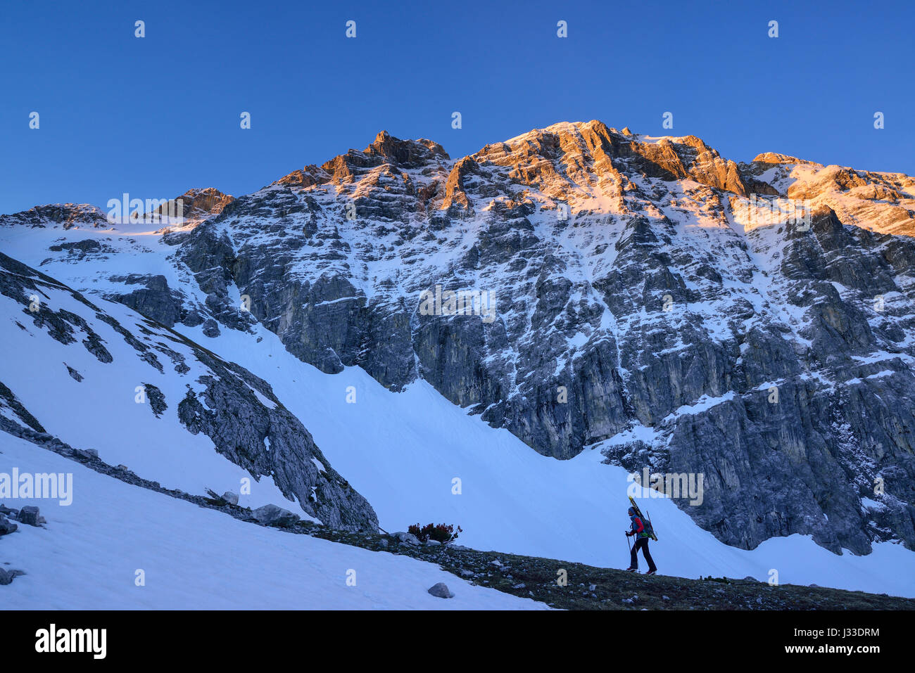 Female back-country skier ascending to Birkkarspitze at dawn, Karwendel range, Tyrol, Austria Stock Photo