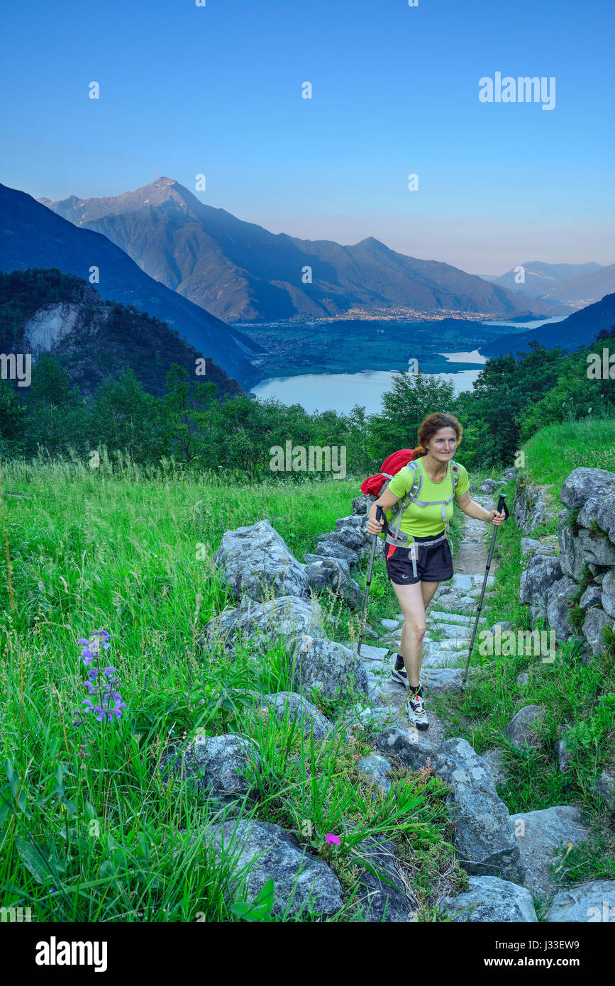 Woman hiking on flagged track through meadow, Lago di Mezzola in background, Val Codera, Sentiero Roma, Bergell range, Lombardy, Italy Stock Photo