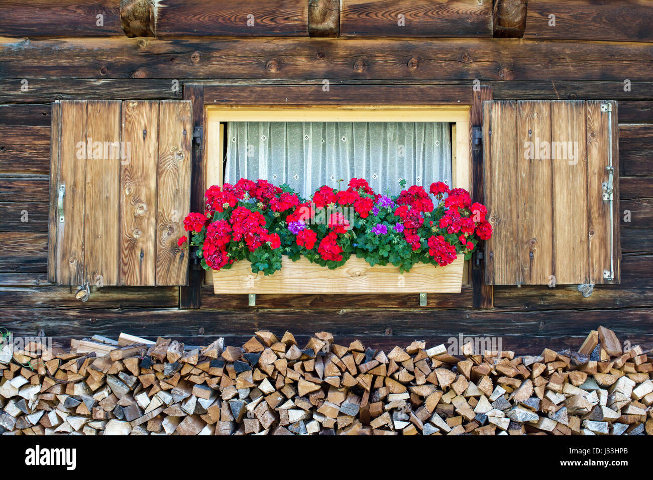 Geraniums in front of window of mountain hut, laminated wood, Engalm, Vomp, Tyrol, Austria Stock Photo
