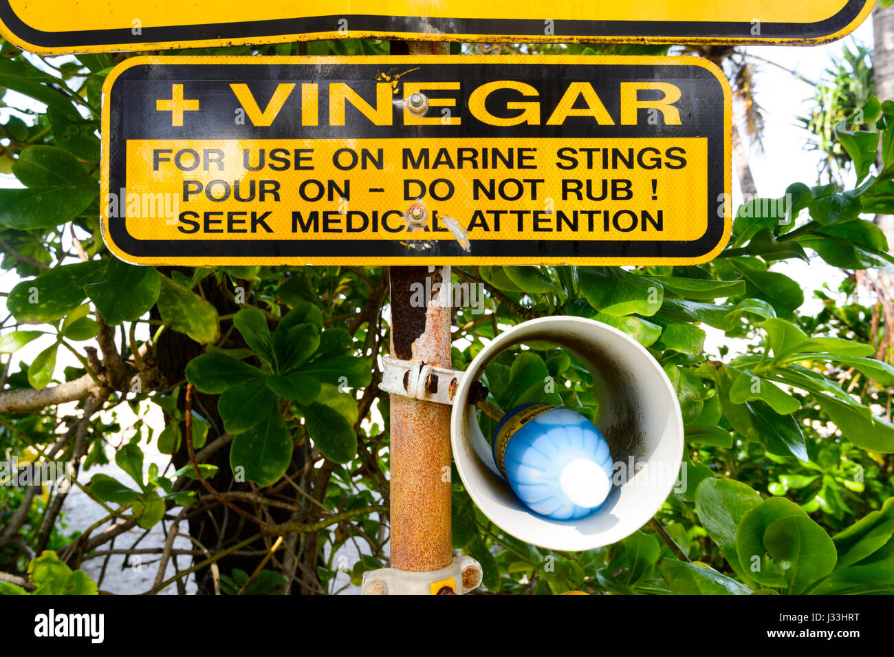 First Aid Bottle of Vinegar for medicinal treatment of Box Jellyfish