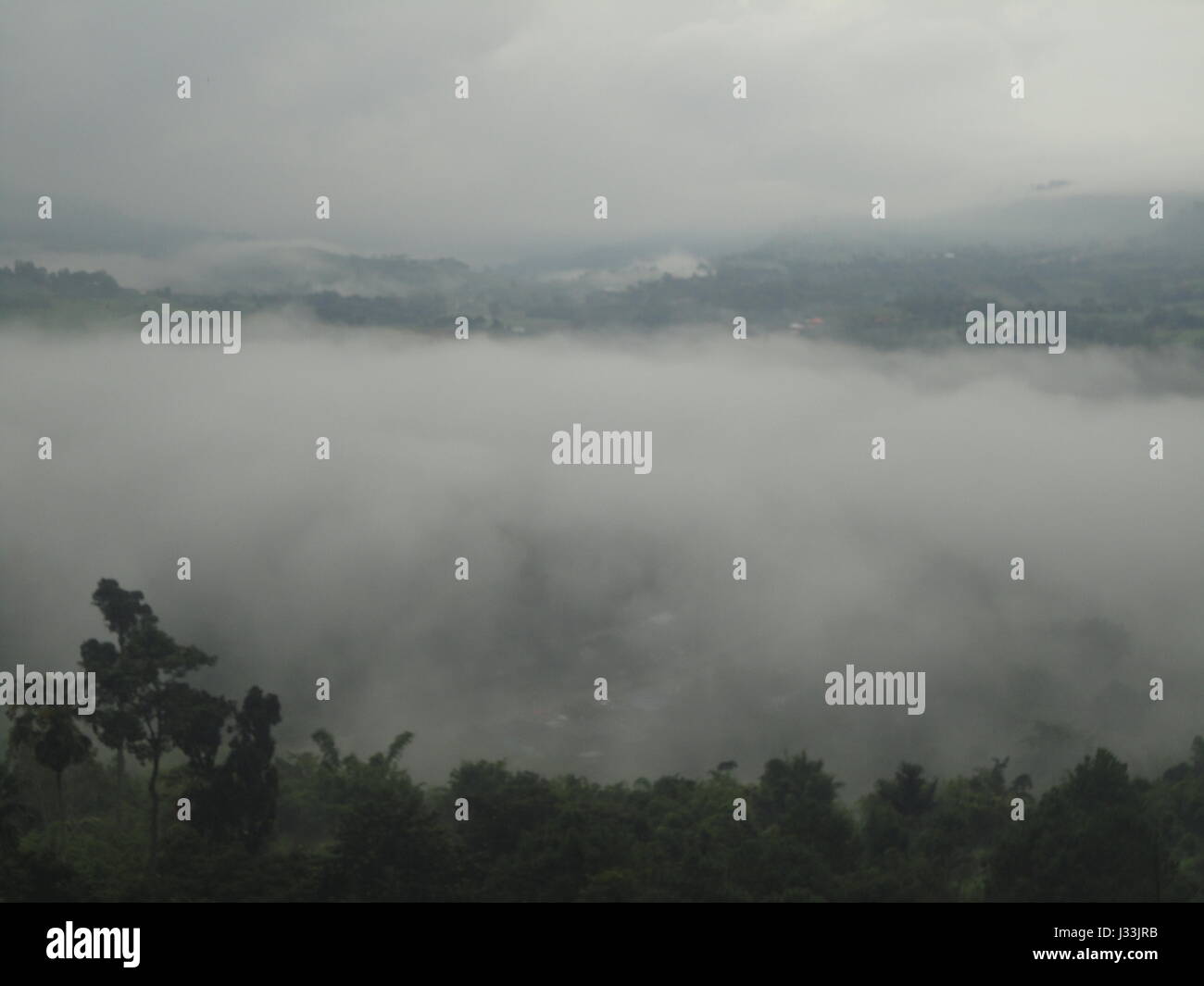 Beautiful landscape in the forest mountains majestic view Foggy Morning ...
