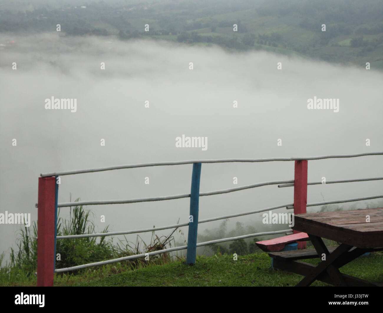 Beautiful landscape in the forest mountains majestic view Foggy Morning ...