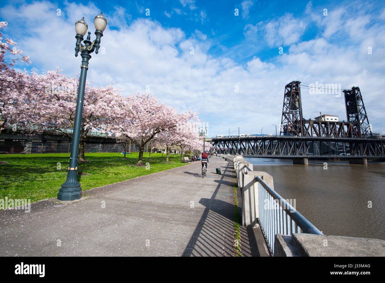 Spring fun Portland blooming trees on the waterfront, classical lanterns, cyclists, old drawbridge and the sunlight giving good mood residents Stock Photo