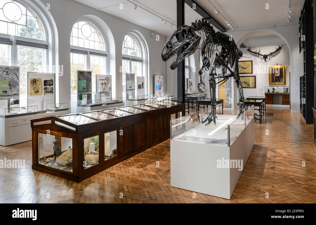 The Lapworth Museum of Geology, Birmingham. One of the leading