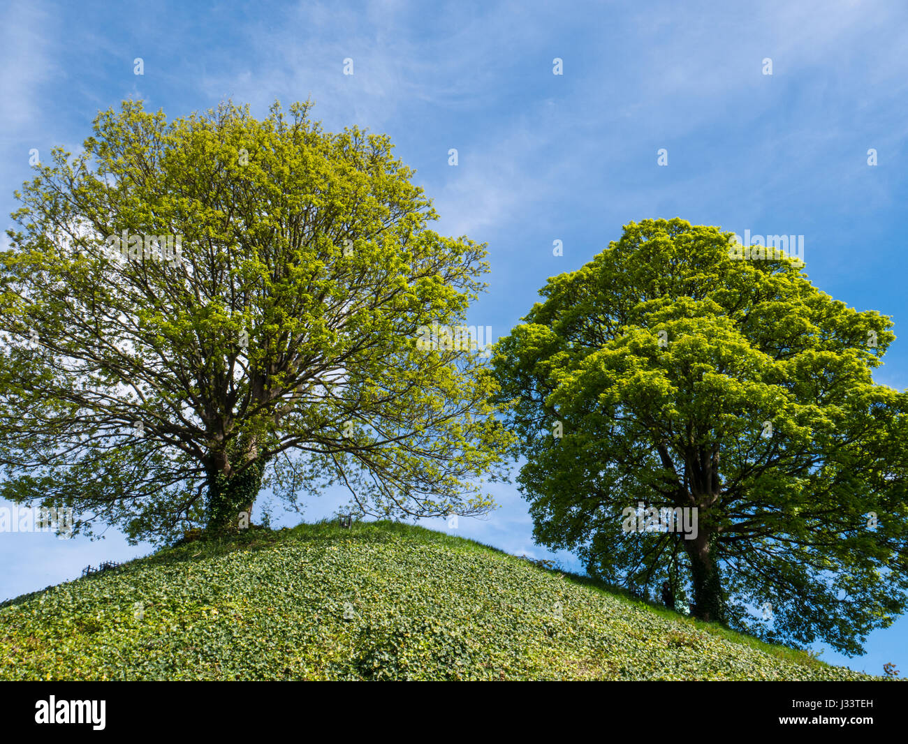 Castle Mound, Oxford Castle, Oxford, Oxfordshire, England, UK, GB Stock Photo