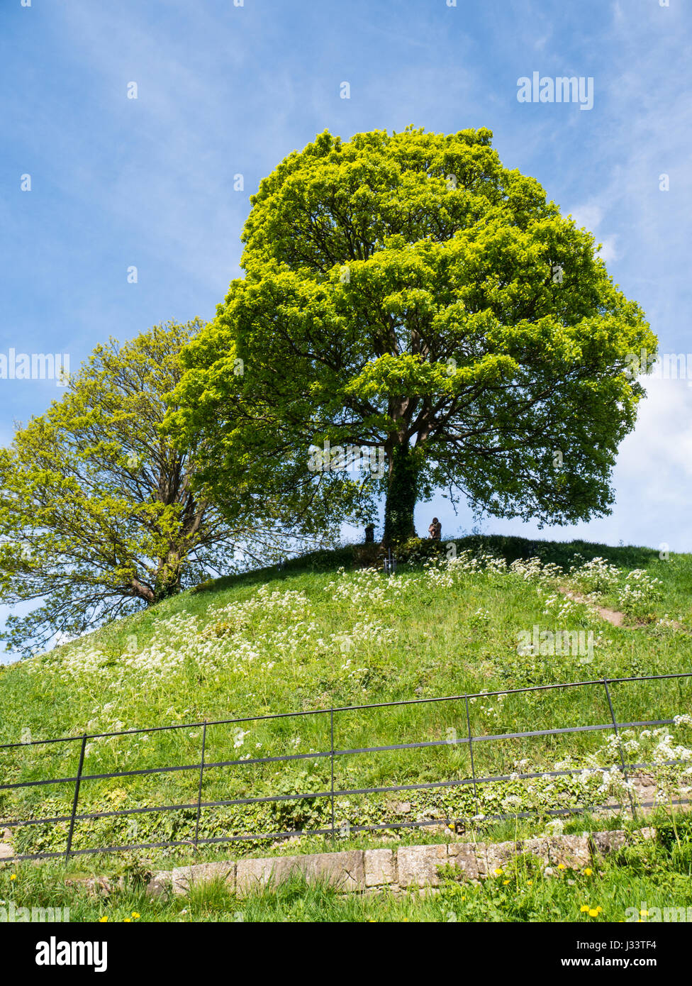 Castle Mound, Oxford Castle, Oxford, Oxfordshire, England Stock Photo