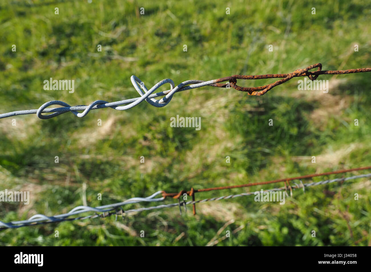 a close up detail new and old rusty barbed wired with grass background Stock Photo