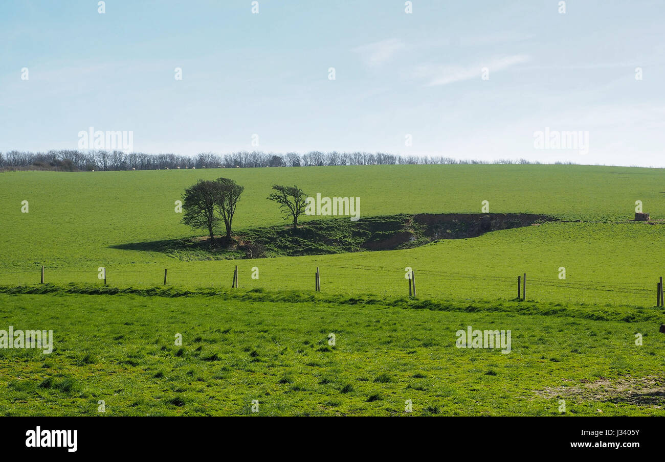 Countryside cleft scar hollow hole fissure in tree lined grass field with isolated trees and fence fencing Stock Photo