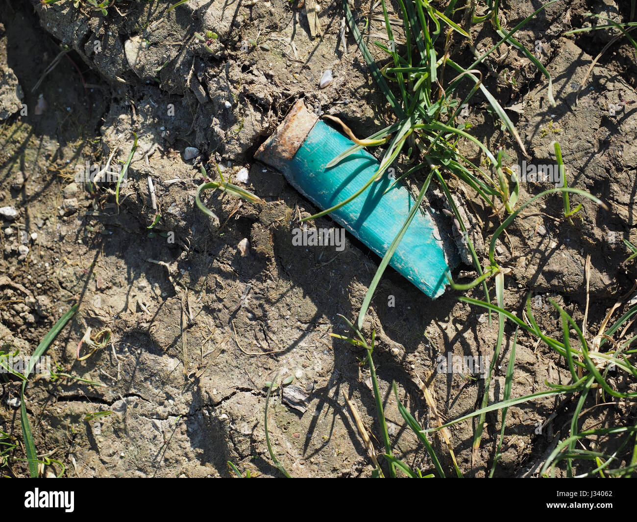 a green spent shot empty discarded dropped ammunition gun shell cartridge litter trodden in dry earth mud Stock Photo