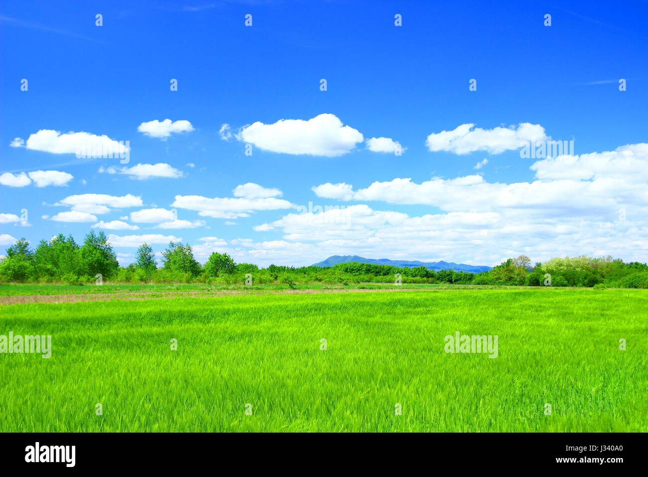 Spring landscape field fields hi-res stock photography and images - Alamy