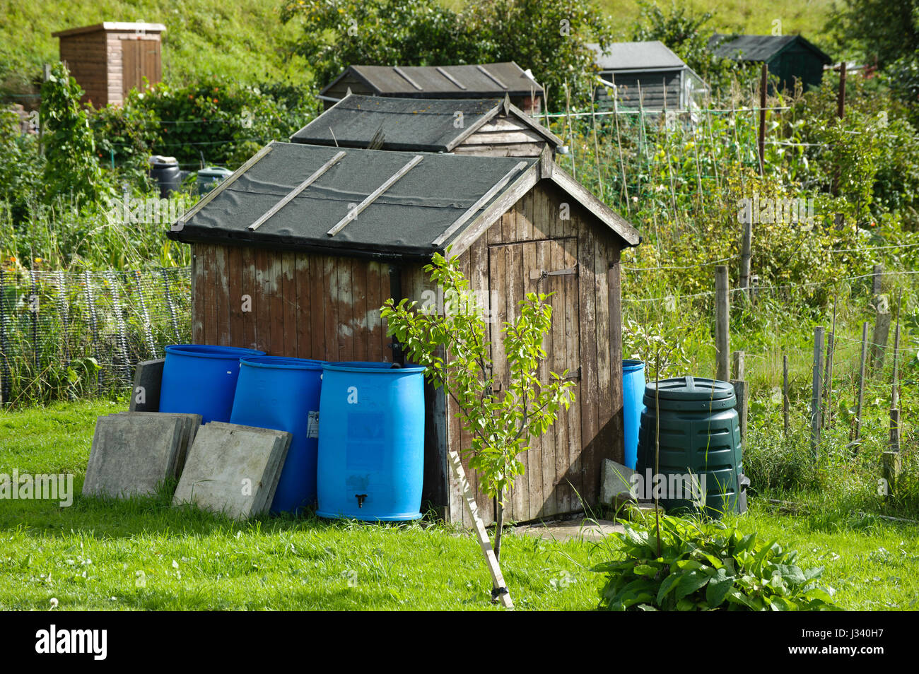 Sheds and greenhouses on allotments at Settle, North Yorkshire. Collecting rain water for watering gardens. Stock Photo