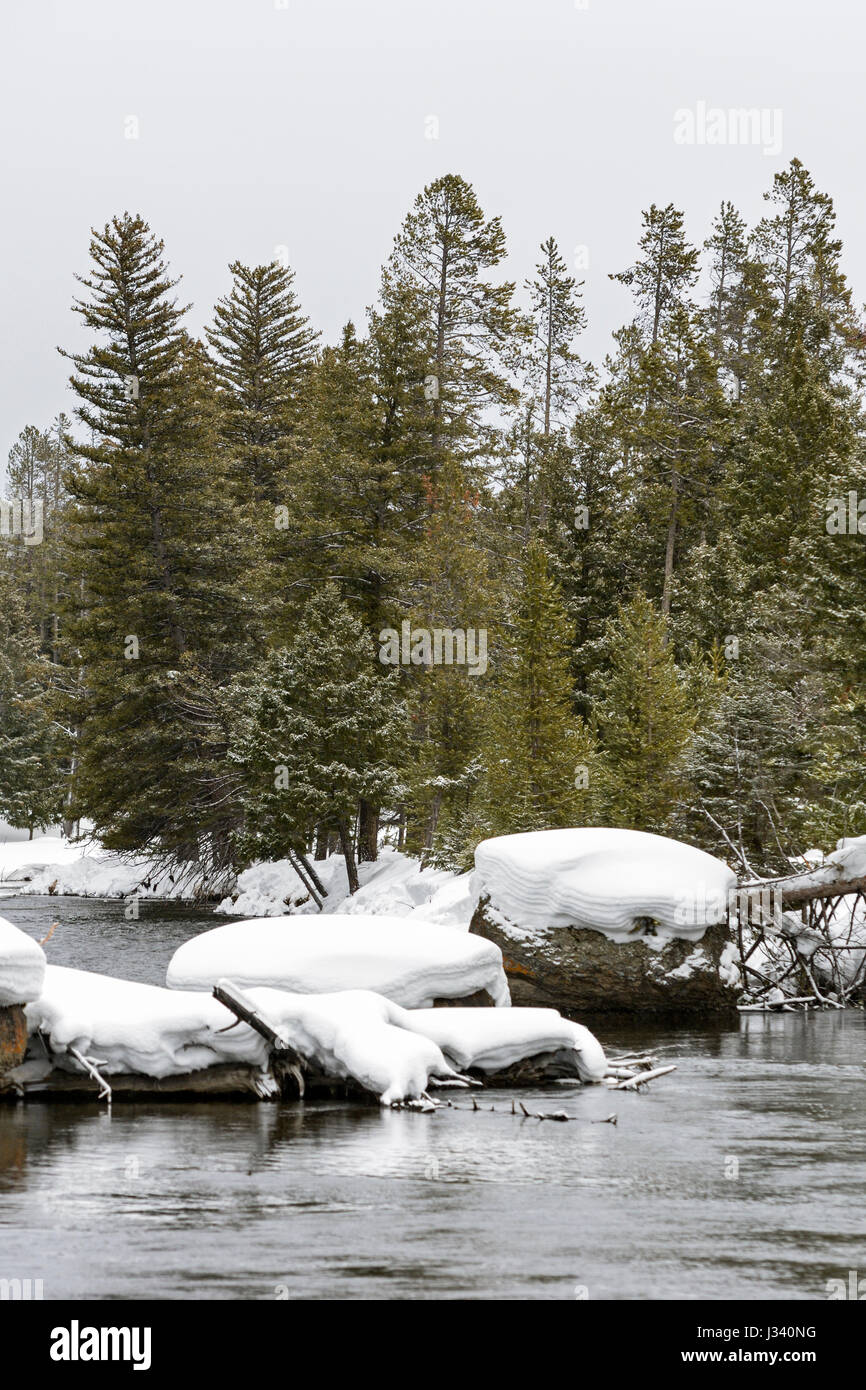 Firehole river in winter, surrounded by snow covered wilderness of Yellowstone National Park, Wyoming, USA. Stock Photo