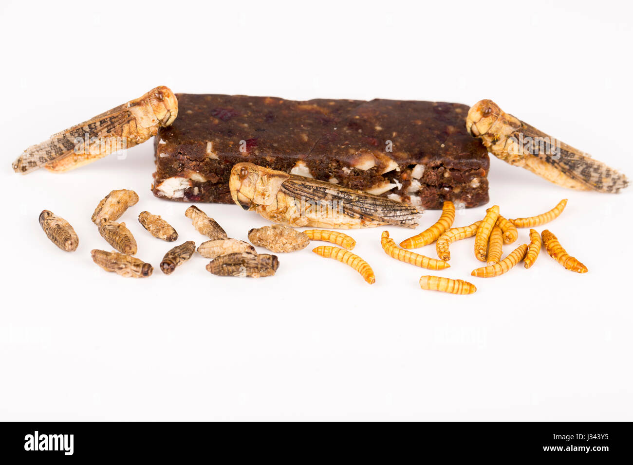 Fried crickets locust molitor insects, cereal energy bar made with insects powder, food of