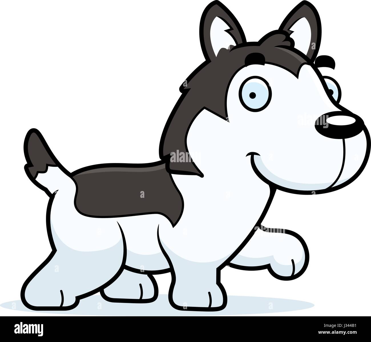 A cartoon illustration of a Husky walking Stock Vector Image & Art - Alamy
