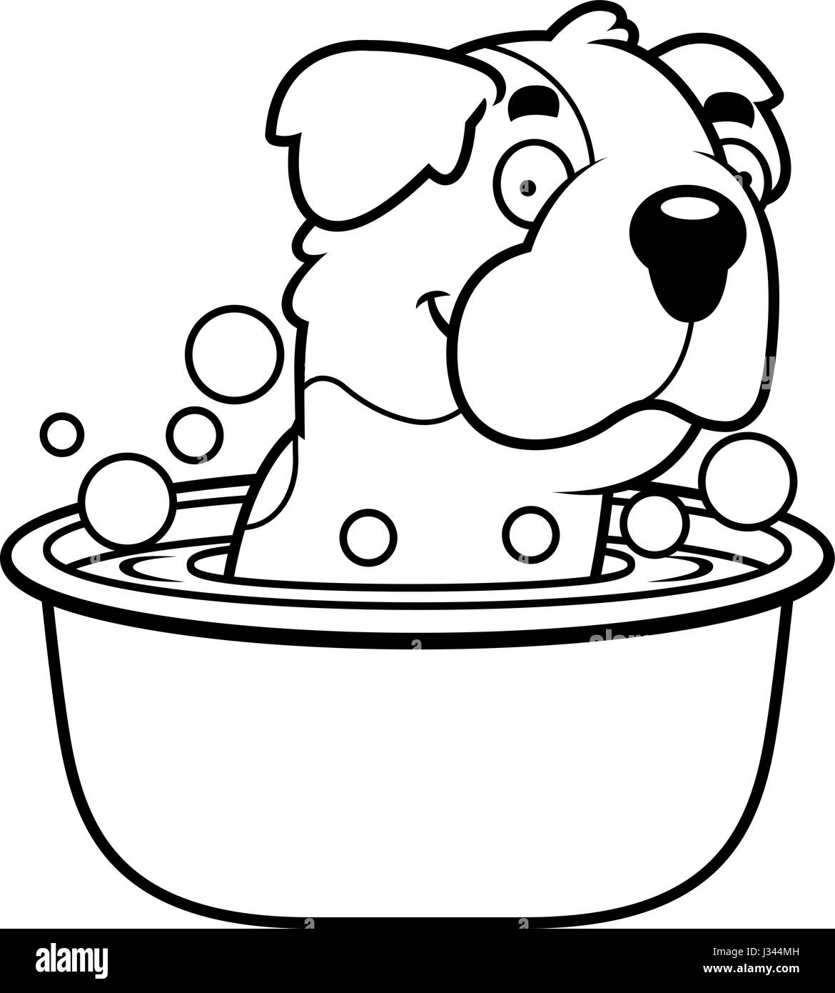 Happy st bernard dog Stock Vector Images - Alamy