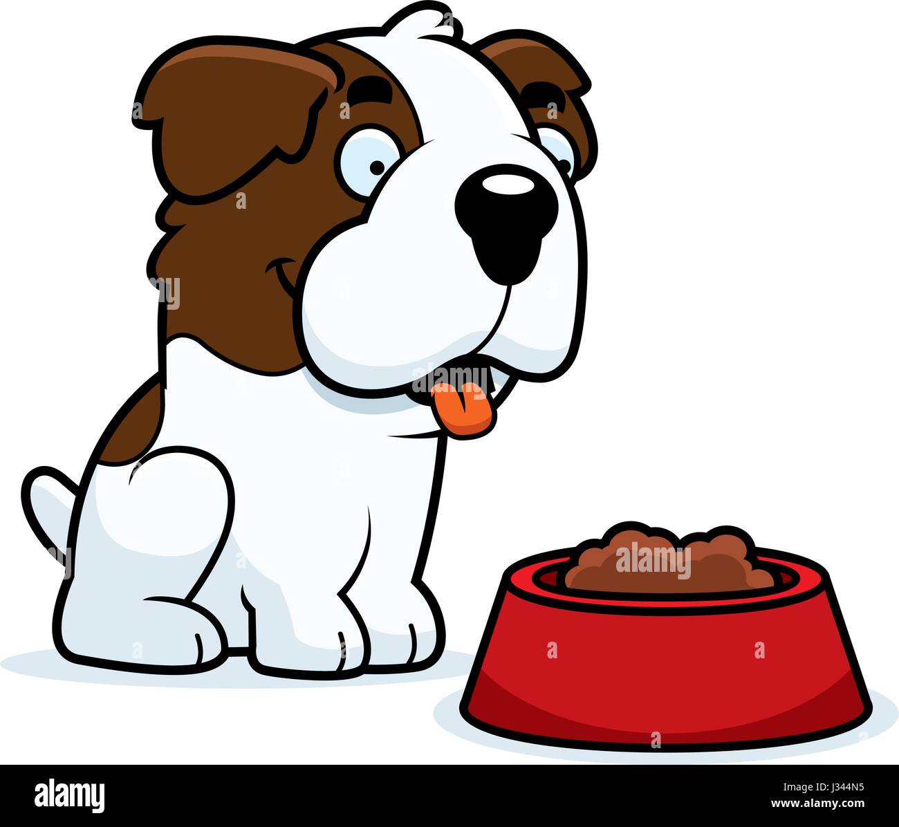 St bernard dog eating hi-res stock photography and images - Alamy