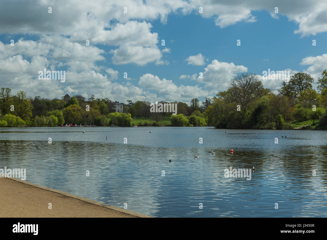 Mote park in Maidstone,Kent,ENGLAND, Stock Photo