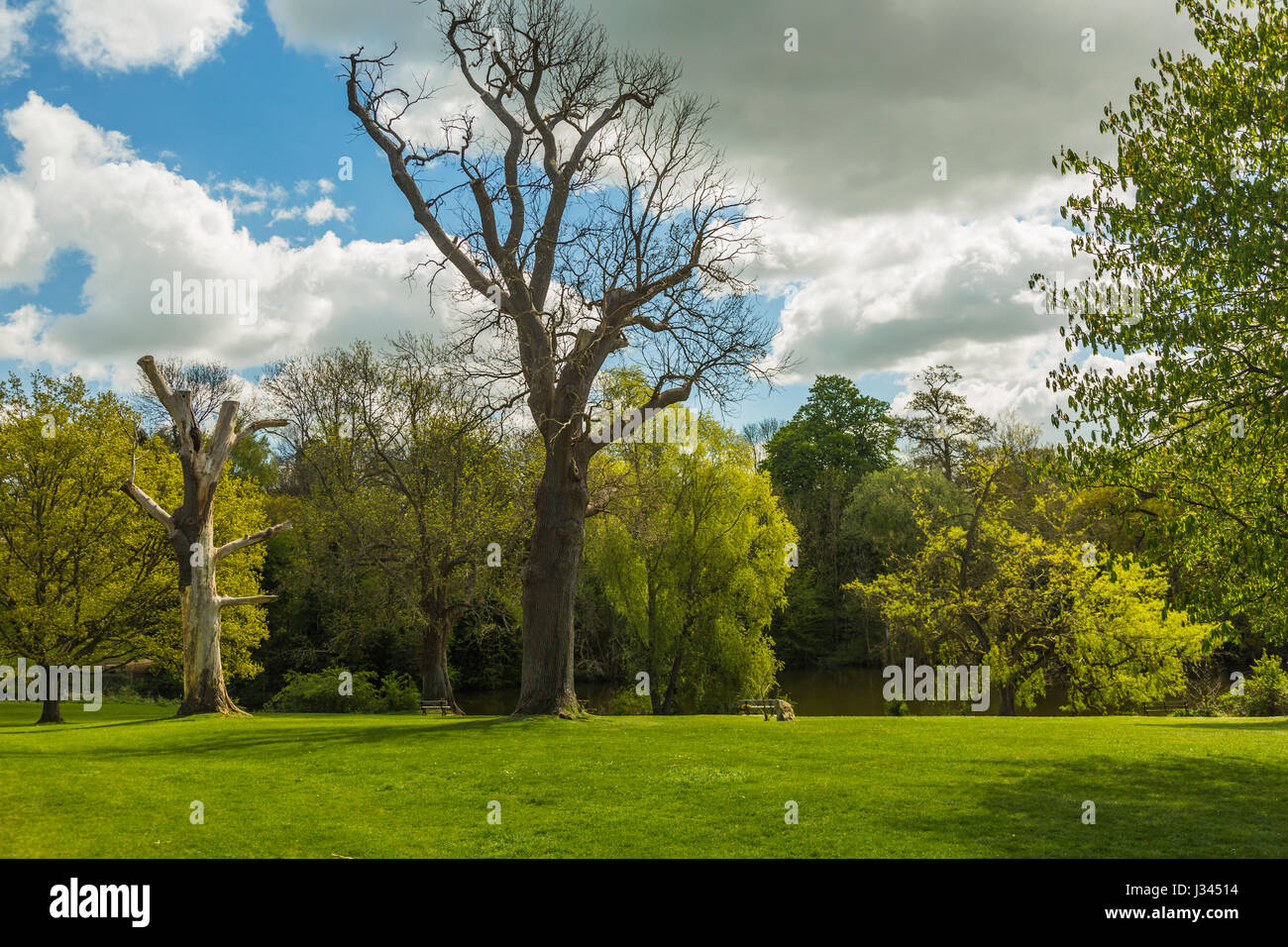 Mote park in Maidstone,Kent,ENGLAND, Stock Photo