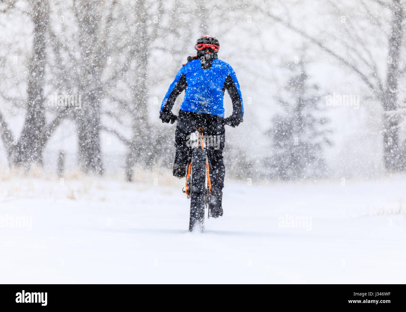 Riding a fat bike in a winter storm, Thunder Bay, Ontario, Canada. Stock Photo