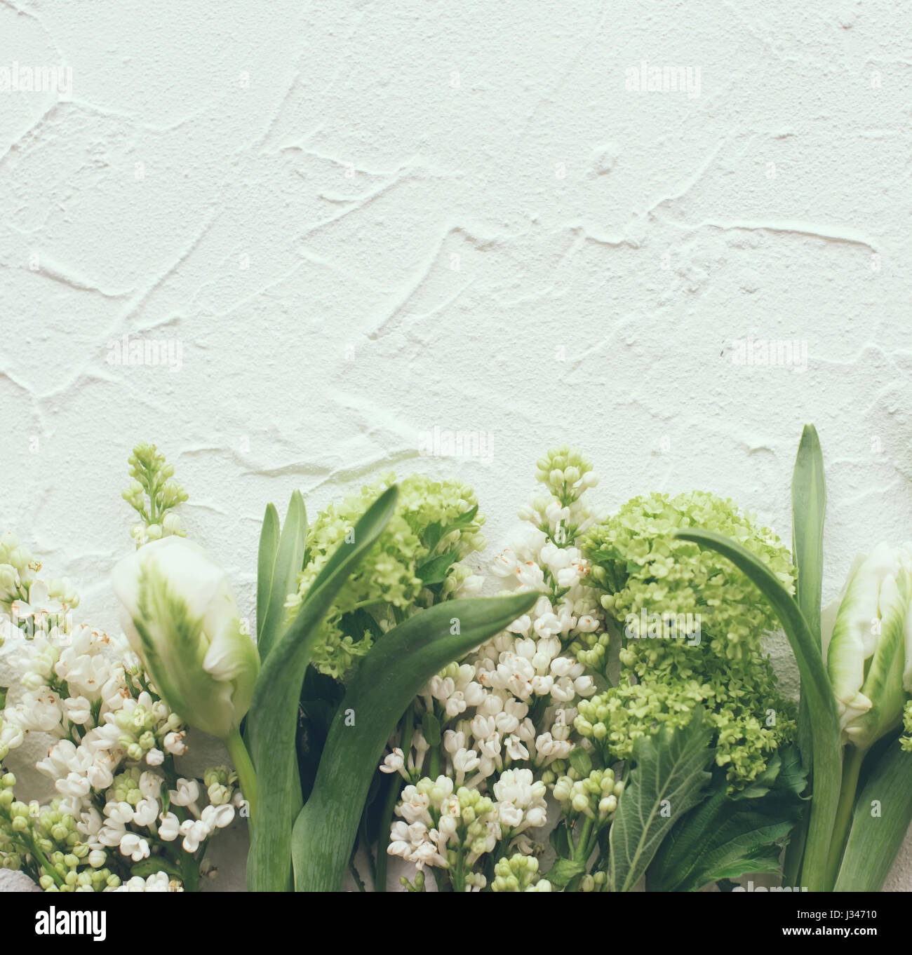 Texture Spring White White textured background with fresh spring flowers, design ready frame ...
