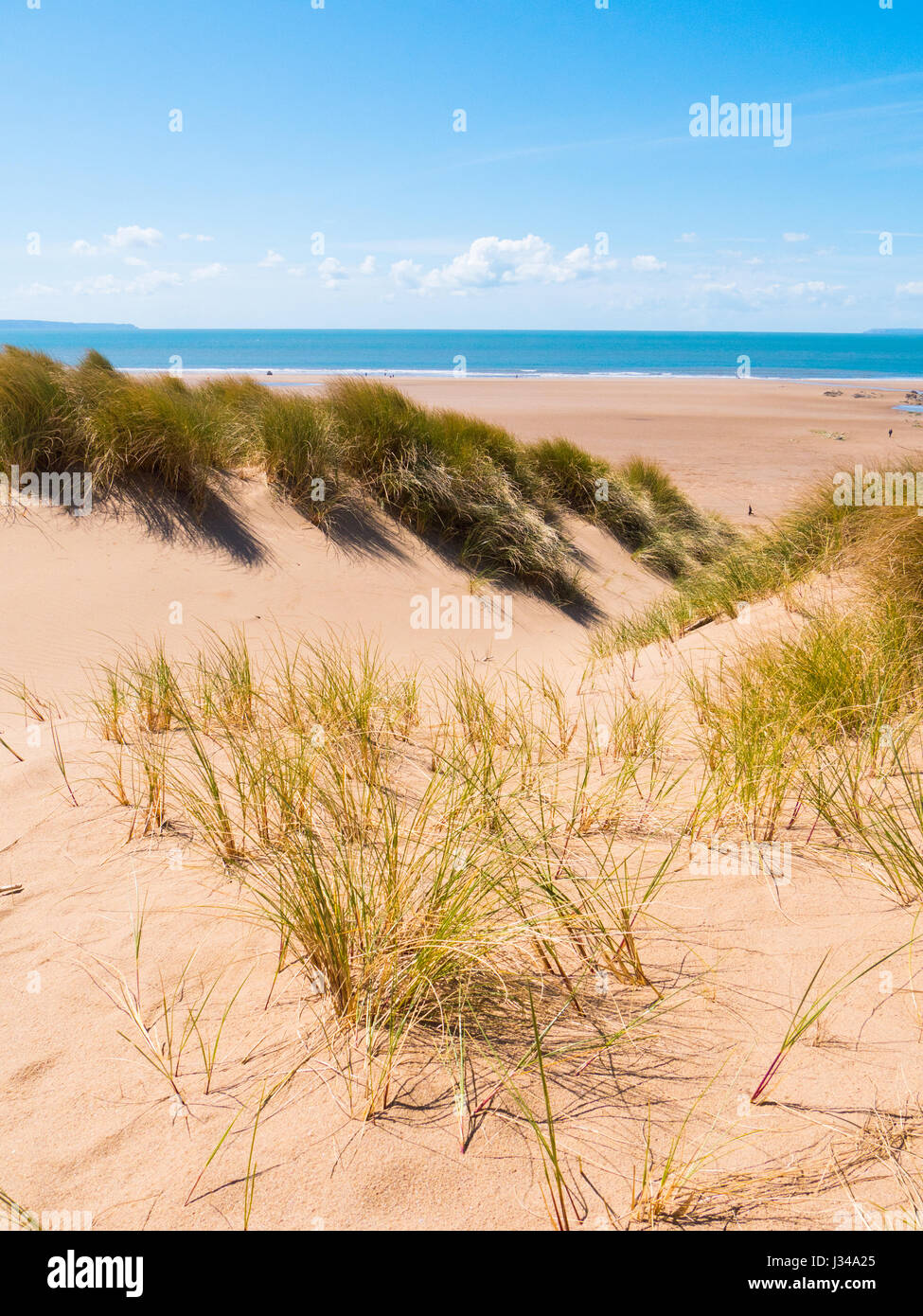 Sand dunes at Croyde beach on a sunny day with clear blue skies, Devon, England, UK Stock Photo