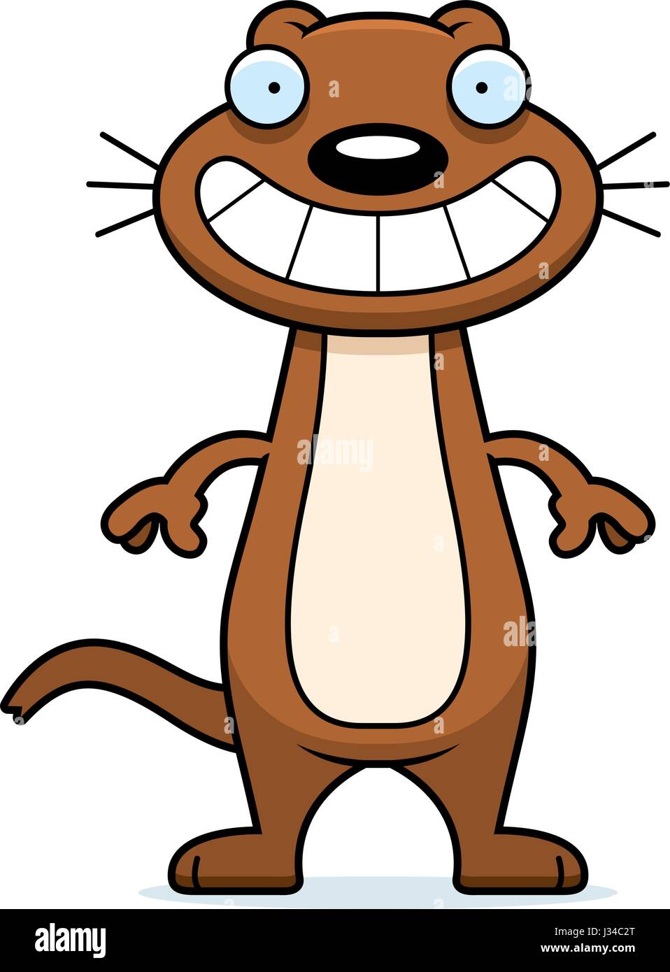 Smiling Stoat A cartoon illustration of a weasel looking happy Stock Vector Image ...