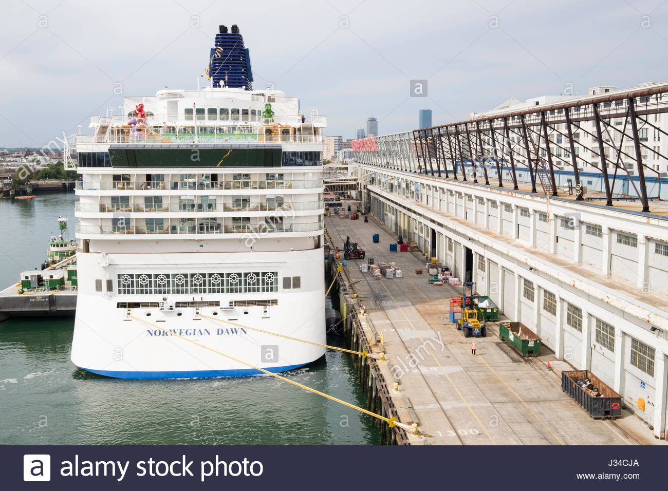black falcon cruise port