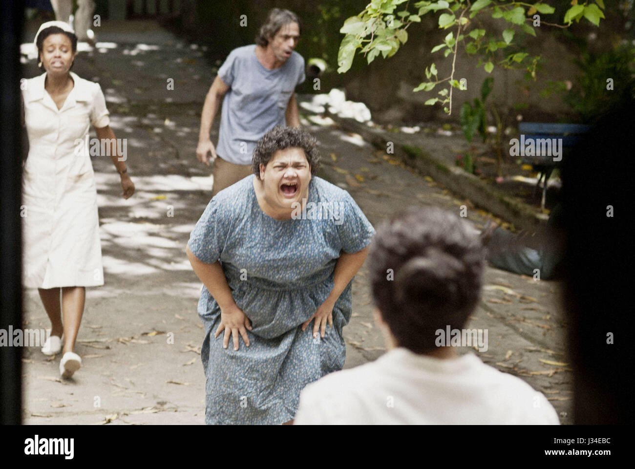 NISE: THE HEART OF MADNESS, (aka NISE: O CORACAO DA LOUCURA), Roberta ...