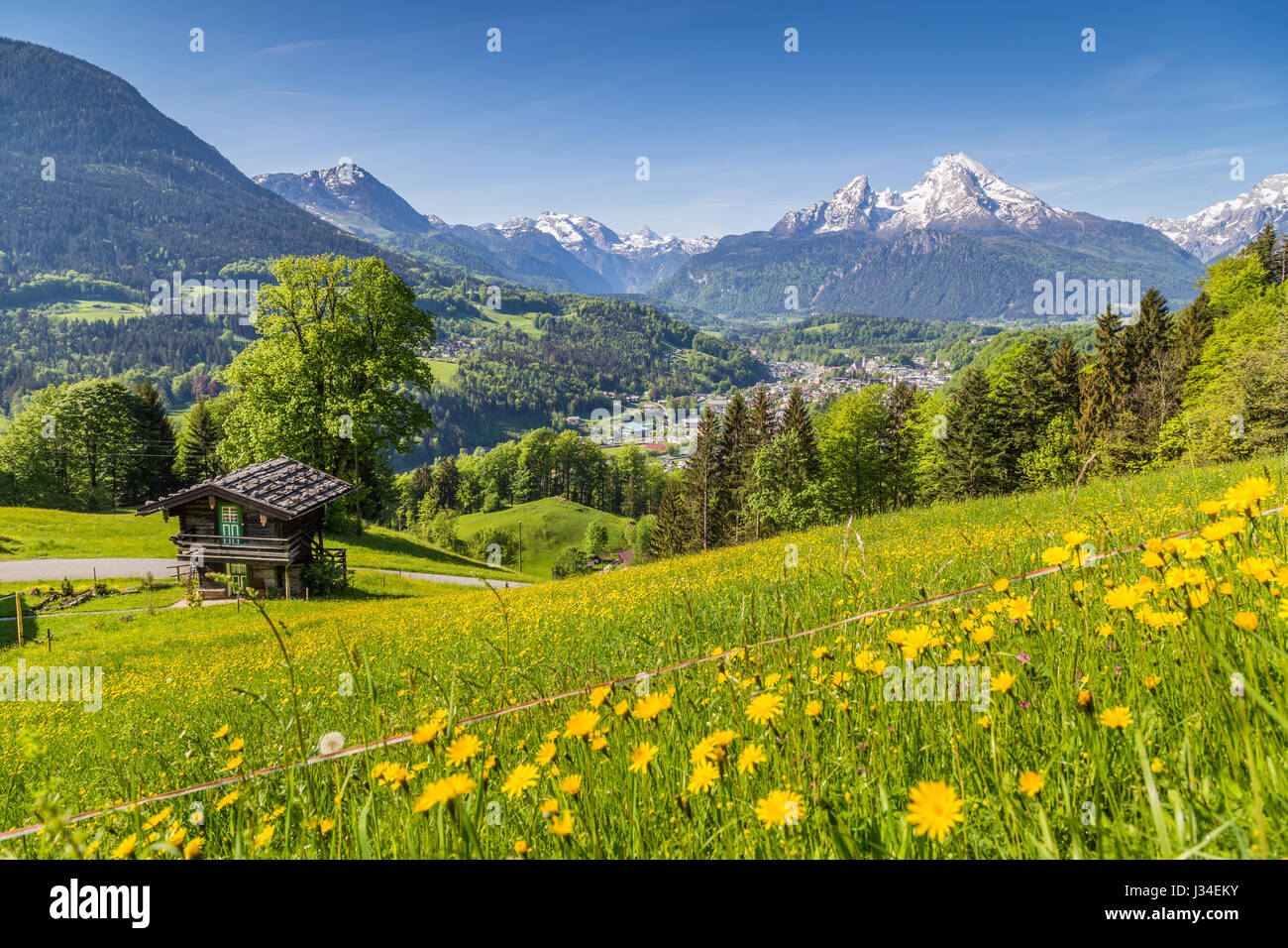 Beautiful view of idyllic mountain scenery in the Alps with traditional mountain chalet and fresh green mountain pastures with blooming flowers on a s Stock Photo