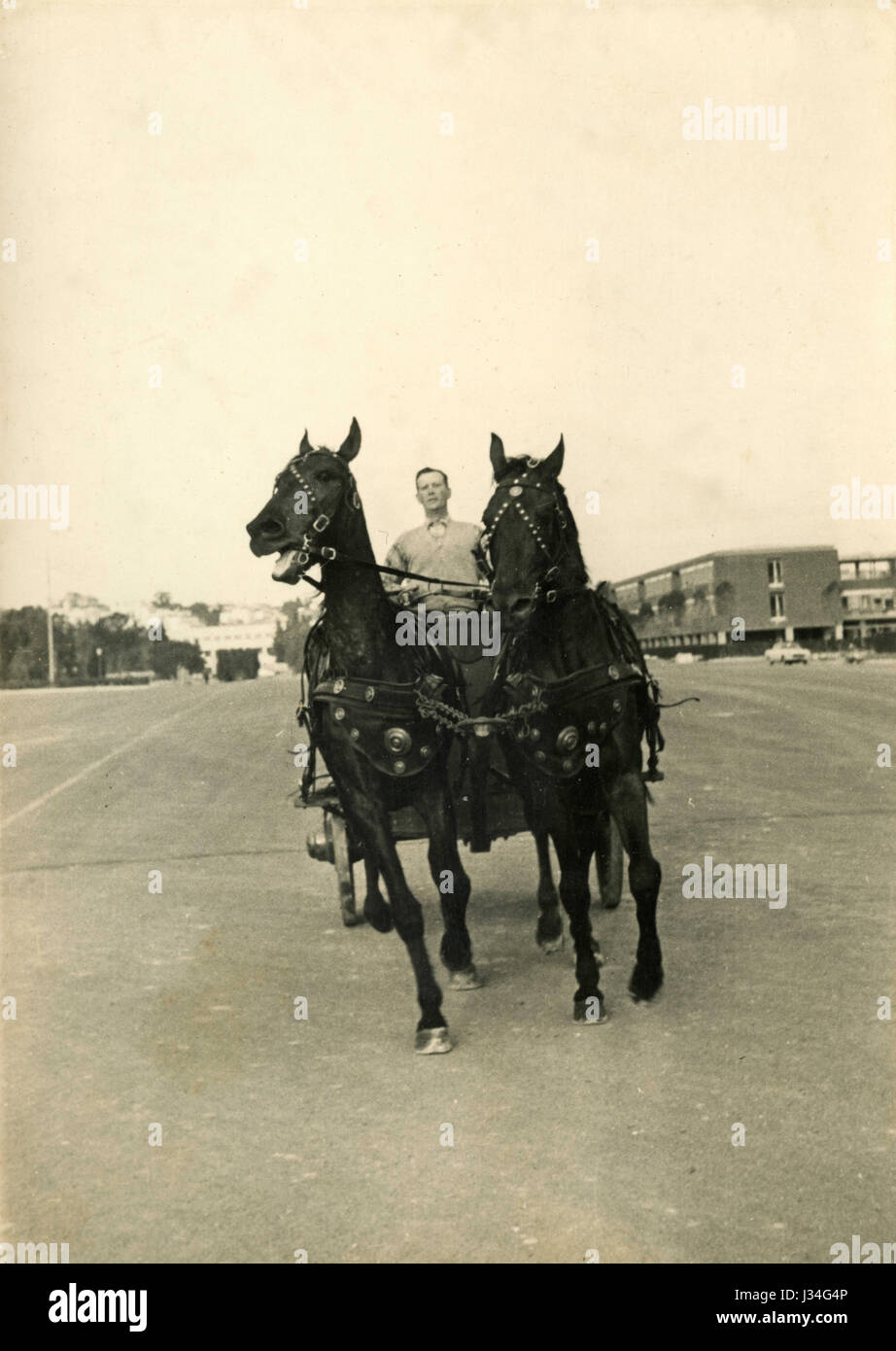 A chariot with two horses Stock Photo