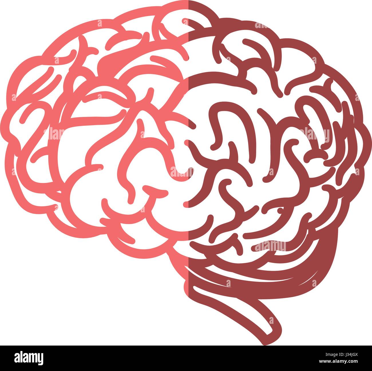 human brain icon Stock Vector Image & Art - Alamy