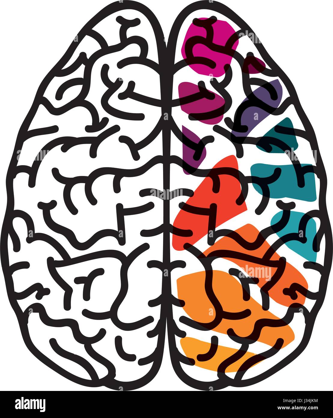 human brain icon Stock Vector Image & Art - Alamy