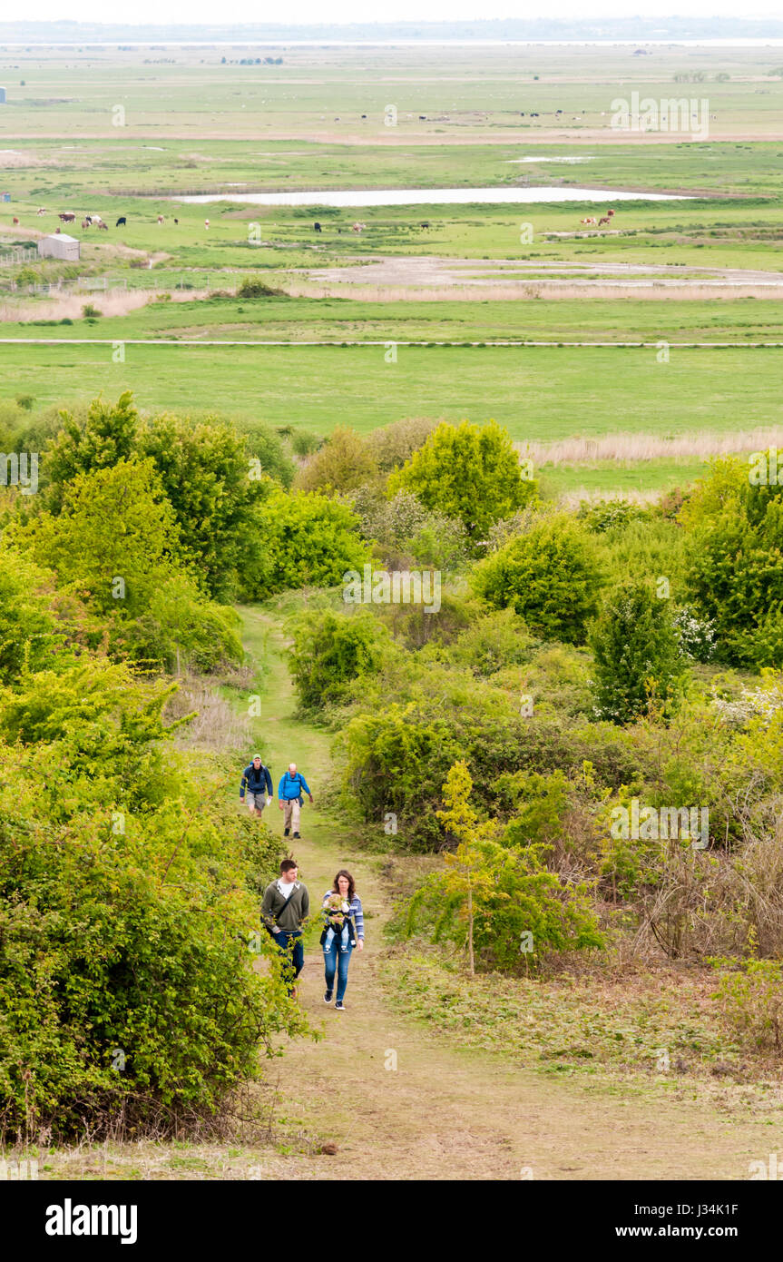 Visitors to the RSPB Northward Hill bird reserve on the north Kent marshes by the Thames estuary. Stock Photo