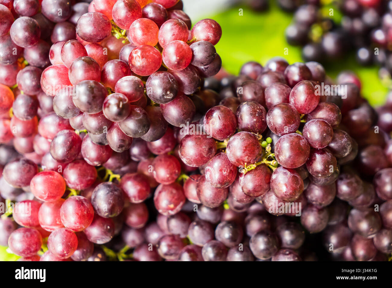 Red wine grapes background, dark grapes, blue grapes , Red Grape