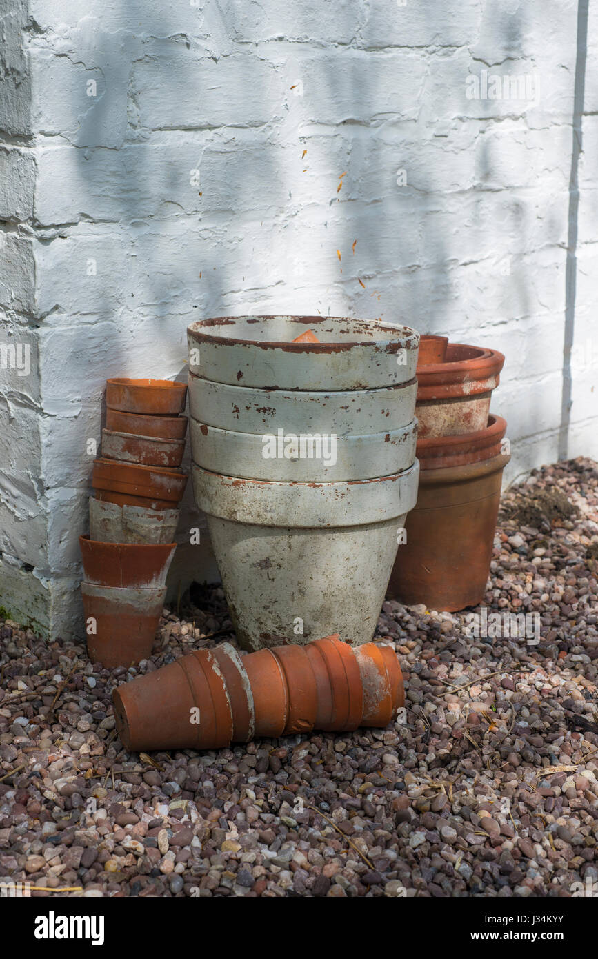A collection of terracotta plant pots in the garden, Chipping, Preston, Lancashire. Stock Photo