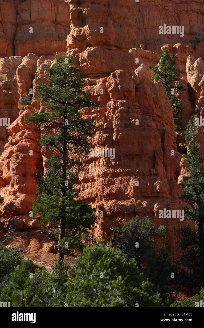 Red rock canyon geological hi-res stock photography and images - Alamy