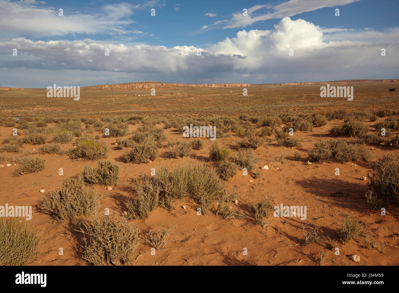 Landscape of the desert in Arizona, United States Stock Photo