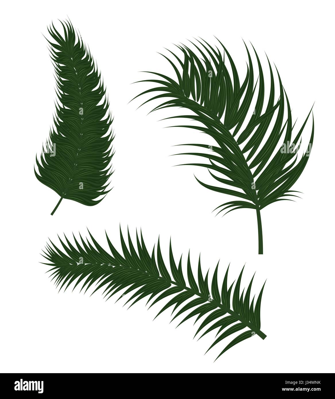 tropical summer leafs decorative Stock Vector Image & Art - Alamy