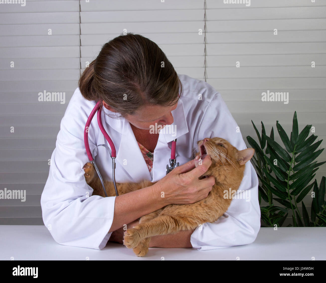 Sympathetic image hires stock photography and images Alamy