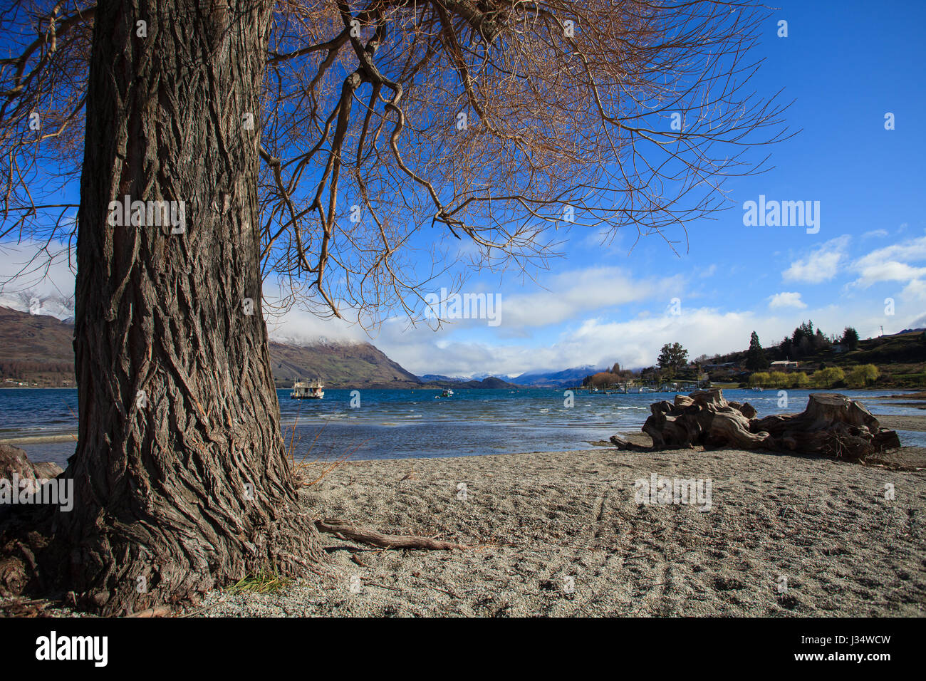beautiful landscape of lake wanaka in south island new zealand ...